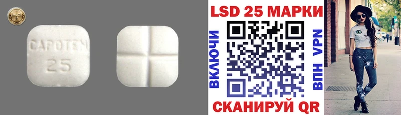 закладка  Лодейное Поле  ЛСД экстази кислота 