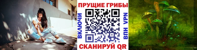 Галлюциногенные грибы MAGIC MUSHROOMS  это как зайти  Лодейное Поле 